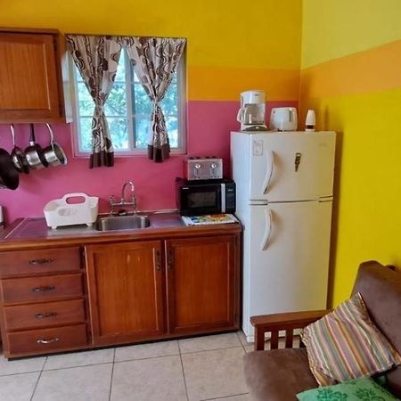 Fish Tobago Guesthouse Or Joy And Brandon Guesthouse Buccoo المظهر الخارجي الصورة