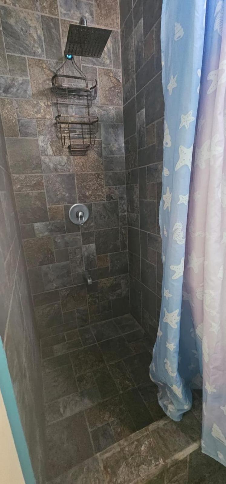Fish Tobago Guesthouse Or Joy And Brandon Guesthouse Buccoo الغرفة الصورة