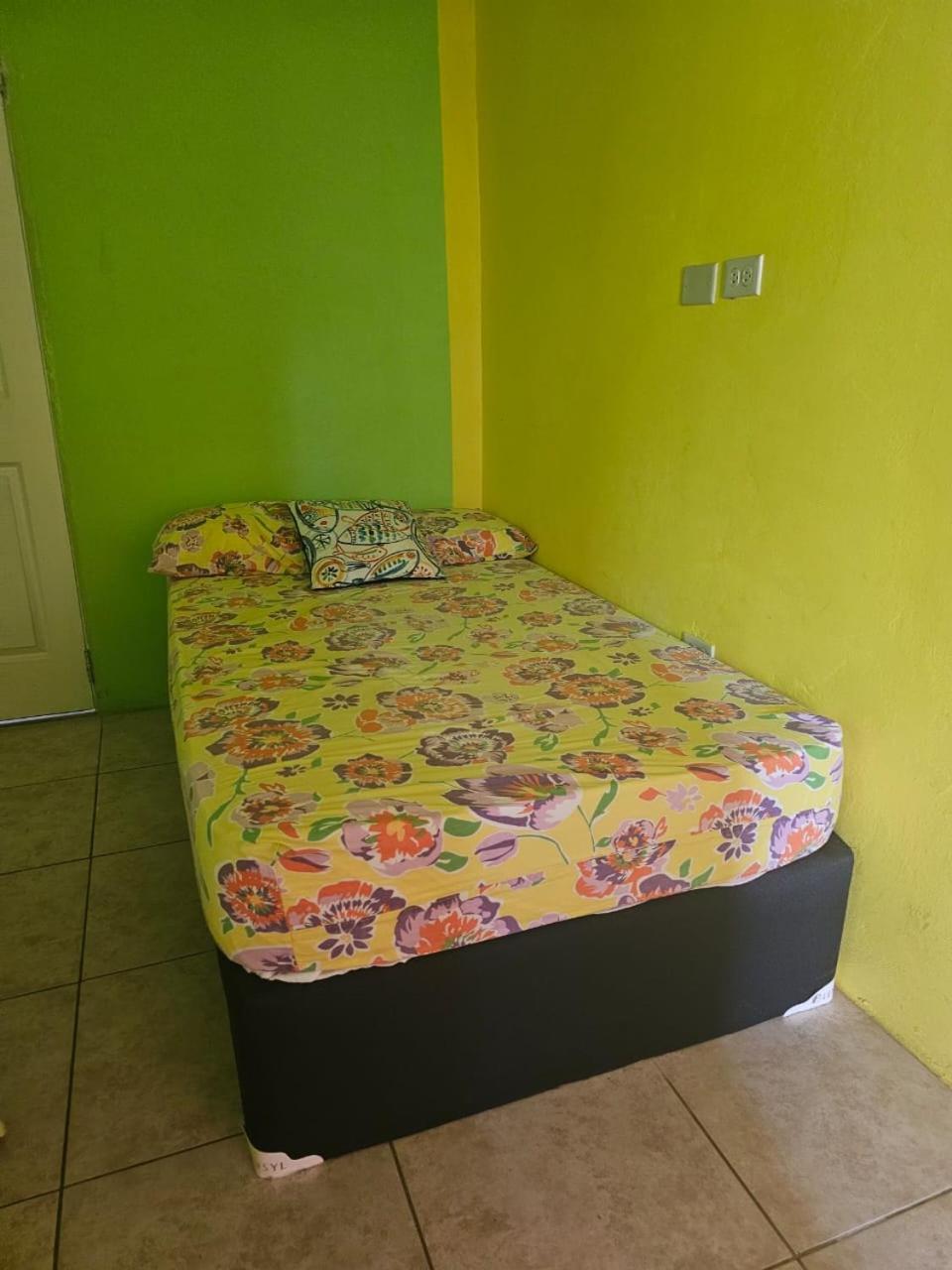 Fish Tobago Guesthouse Or Joy And Brandon Guesthouse Buccoo الغرفة الصورة